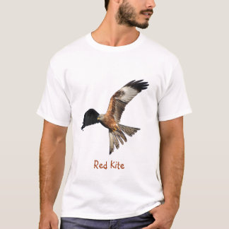 Camisa roja del rapaz de la cometa