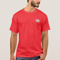 Camisa sajona Anglo