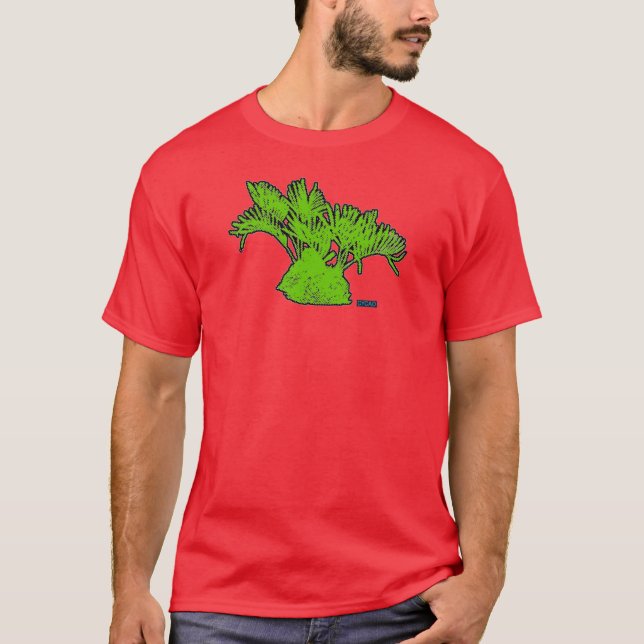 Camisa verde de Coontie del CYCAD (Anverso)