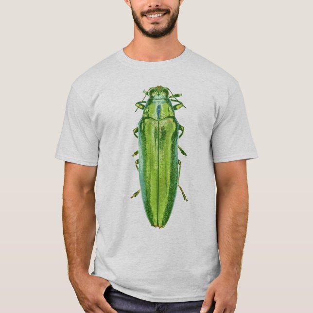 Camisa verde del escarabajo (Anverso)