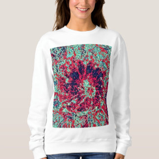 Camisas sudaderas básicas de las mujeres