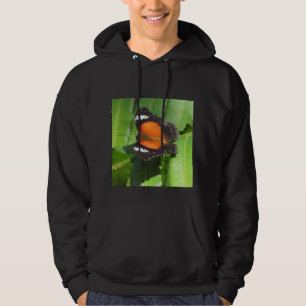 Camisas sudaderas capuchadas de mariposa tropical