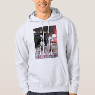 Camisas sudaderas de amor