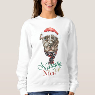 Camisas sudaderas de Navidades de Toro