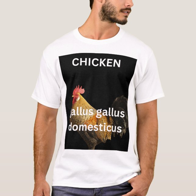 Camiseta (Anverso)