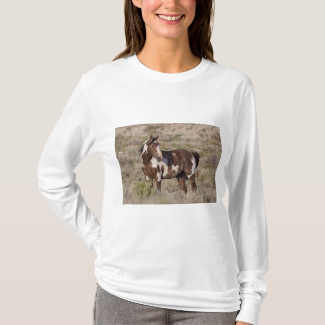 CAMISETA  (Anverso)