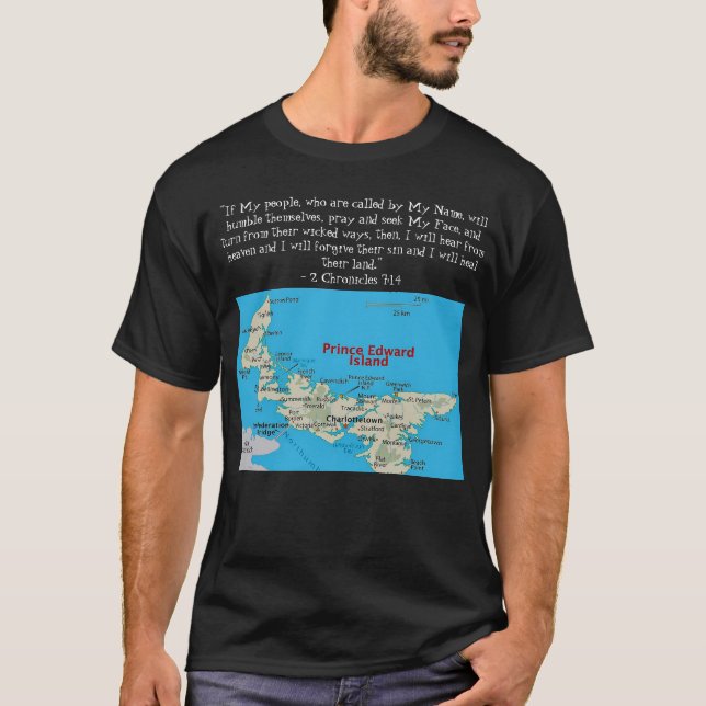 Camiseta (Anverso)