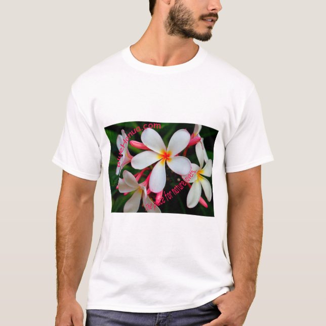Camiseta (Anverso)