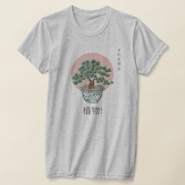 Camiseta (Distribución)