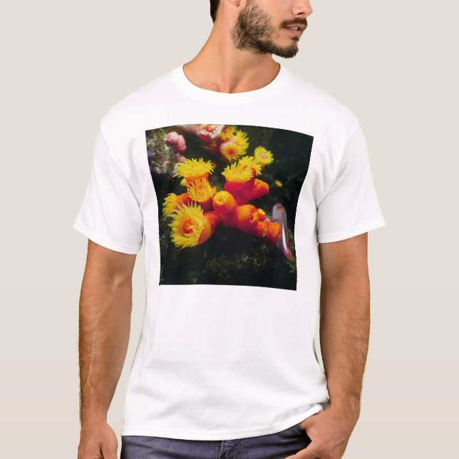 CAMISETA キサンゴ (Anverso)