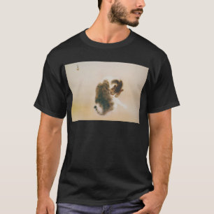 Camiseta 猫, 栖 鳳 Cat, Seihō, Arte Japonés