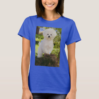 CAMISETA 09, DE ISHBILIA BICHON FRISE