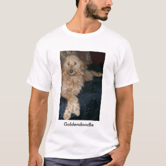 Camiseta 101_1570, Goldendoodle