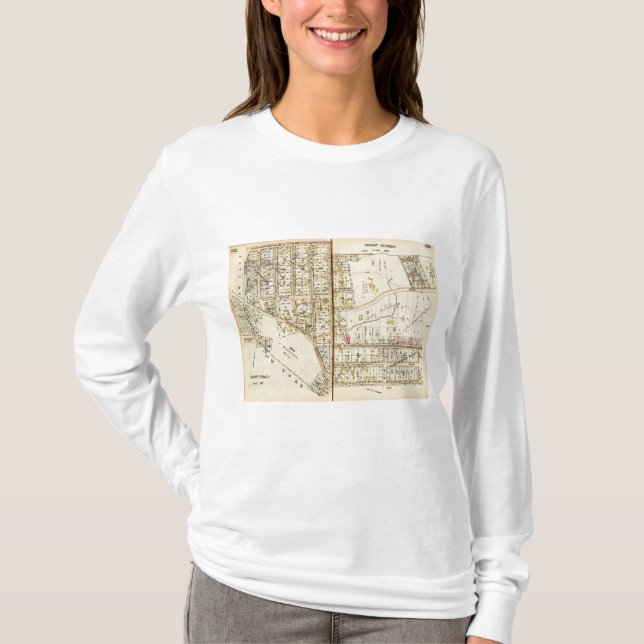 Camiseta 102103 Mt Vernon (Anverso)