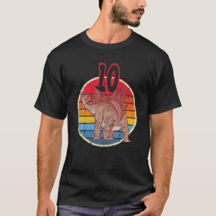 Camiseta 10.º Cumpleaños I Stegosaurus Stenops I Family Mat