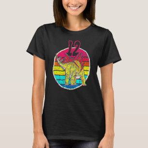 Camiseta 12.º cumpleaños I Stegosaurus Stenops I Family Mat