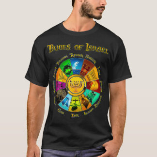 Camiseta 12 Doce Tribus De Israel Judío Judío Israelí