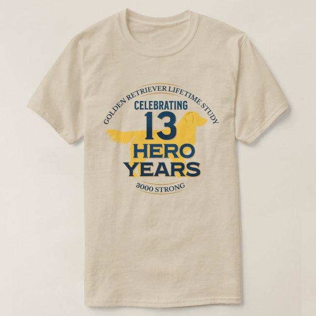 Camiseta 13 años de héroe - luz (Diseño del anverso)
