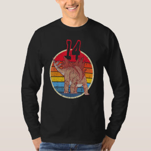 Camiseta 14 cumpleaños I Stegosaurus Stenops I Family Match