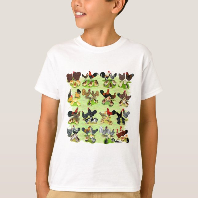 Camiseta 16 familias de pollos (Anverso)