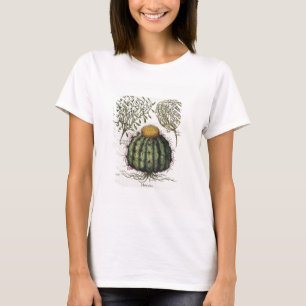 Camiseta 1.Melocactus; 2.Rosa Hiericontea aperta; 3.Rosa Hi