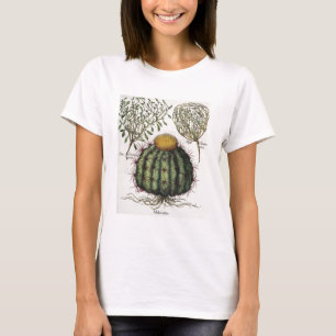 Camiseta 1.Melocactus; 2.Rosa Hiericontea aperta; 3.Rosa Hi