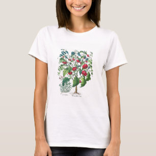 Camiseta 1.Solanum Pomiferum; 2.Amaracus vulgaris, de