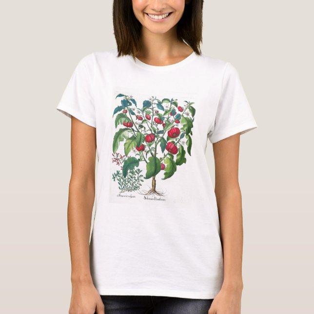 Camiseta 1.Solanum Pomiferum; 2.Amaracus vulgaris, de (Anverso)