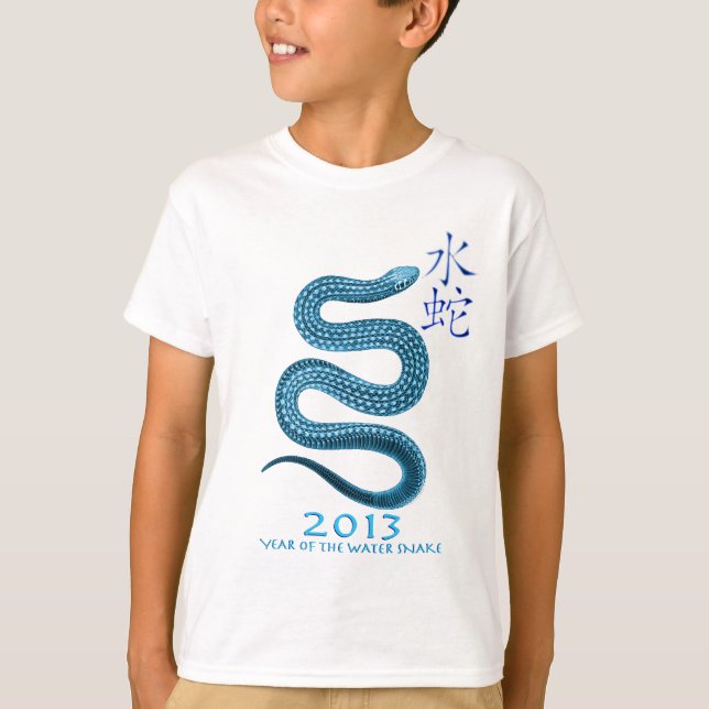 CAMISETA 2013 (Anverso)