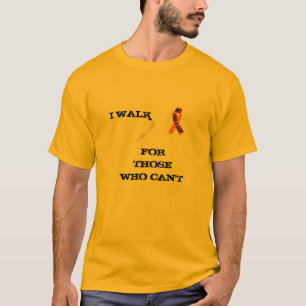 CAMISETA 2013 "" CAMINO - MS
