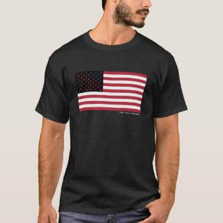 Camiseta 2016 estados divididos de América