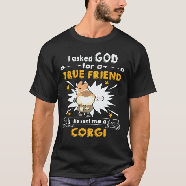 Camiseta 29 Me Envió Un Corgi (Anverso)