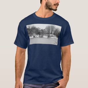 Camiseta 349 Superficie lacustre