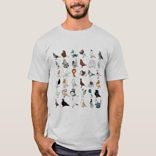 Camiseta 36 razas de la paloma (Anverso)