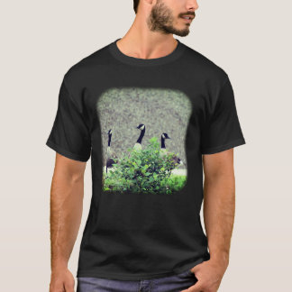 Camiseta 3.ª Naturaleza Geesa de Canadá