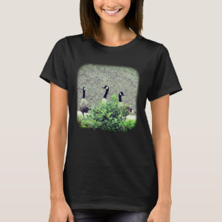 Camiseta 3.ª Naturaleza Geesa de Canadá