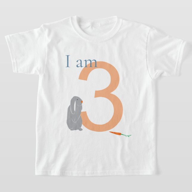 Camiseta 3.ᵉʳ Cumpleaños Moderno Minimal Gray Bunny T-Shirt (Distribución)