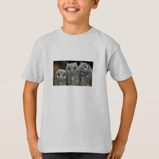 Camiseta 3 pequeños búhos