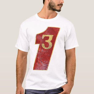 Camiseta 3in1