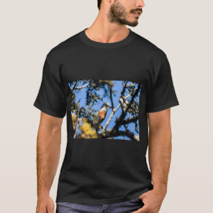 Camiseta 41617 mi amigo rey