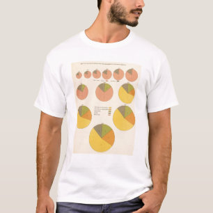 Camiseta 42 población, elementos 1790-1900
