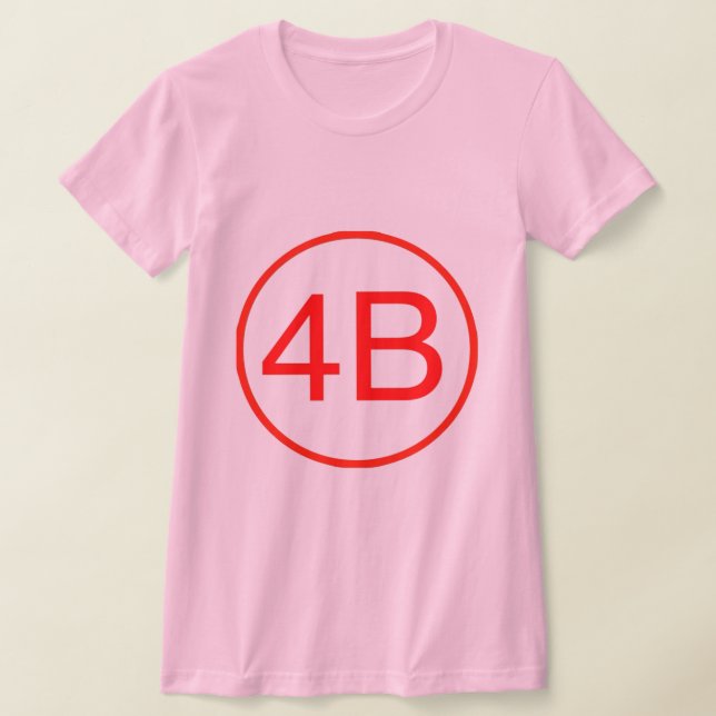 Camiseta 4B (Distribución)
