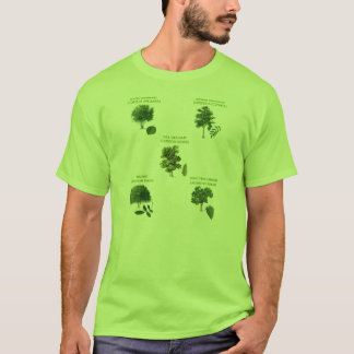 Camiseta 5 árboles