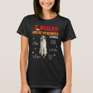 Camiseta 5 Reglas Para Los Grandes Propietarios De Los Piri
