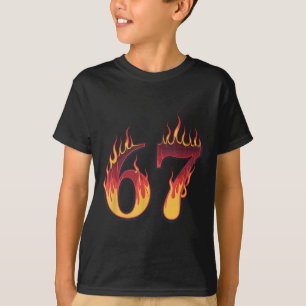 Camiseta 67 Llamas Divertidas Seis Siete Gen Alfa Meme Leng