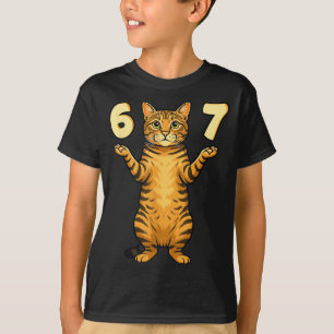 Camiseta 67 Meme de gato divertido humor de jerga Gen Alpha