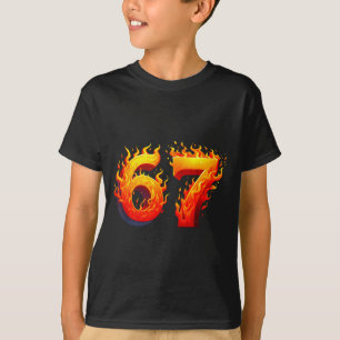 Camiseta 67 Meme Flamas Divertidas Seis Siete Argot Gen Alf