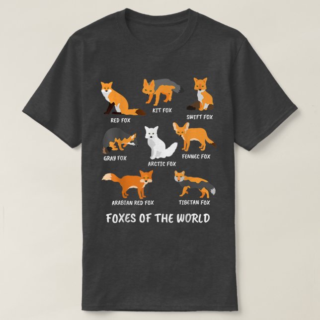 Camiseta 6.ª zorra (Diseño del anverso)