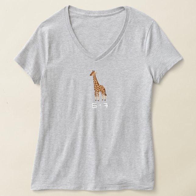 CAMISETA 6,7 (Distribución )