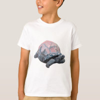 A es para Aldabra Tortoise